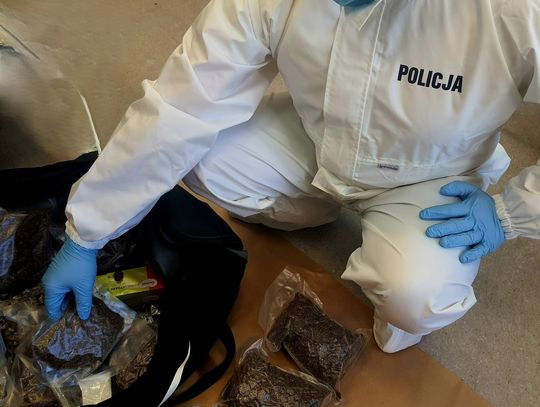Policyjny spaniel odnalazł ponad trzy kilogramy narkotyków. Były gotowe do puszczenia w obieg