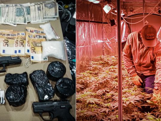 Polski gang przemycał narkotyki z Holandii i miał własne laboratoria [WIDEO, FOTO]