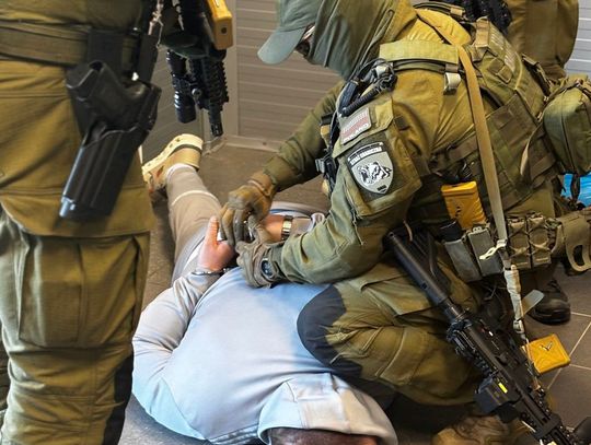 Polskie służby uderzyły w gang handlujący kontrabandą. Przejęto towar wart 31,5 miliona złotych