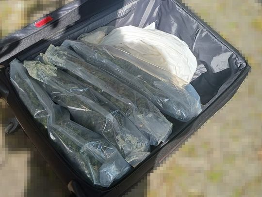 Ponad 10 kilogramów mefedronu i amfetaminy w walizkach. Toruńscy policjanci rozbili hurtowników