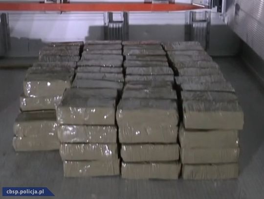 Ponad 216 kg haszyszu w chłodni ciężarówki. Szef gangu narkotykowego stanie przed sądem [WIDEO]