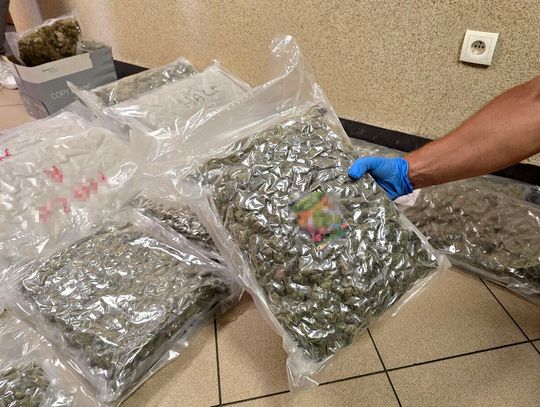 Ponad 22 kilogramy marihuany w mieszkaniu. 29-latek przemycił narkotyki z Holandii