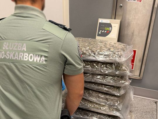 Ponad 40 kg marihuany w paczkach z Kanady. Celnicy udaremnili przemyt narkotyków wartych 2 miliony