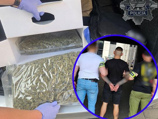 Ponad 40 kilogramów narkotyków w rękach policji! Dwóch zatrzymanych, zlikwidowany magazyn i plantacja
