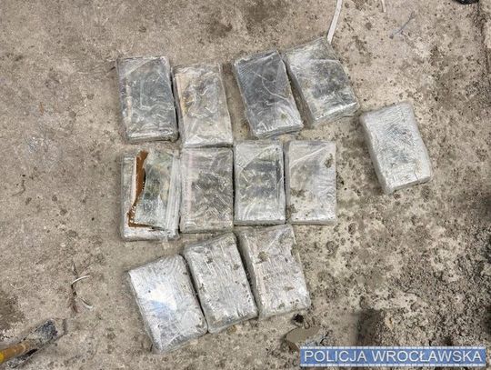 Ponad 42 kilogramy kokainy w betonowych donicach. Wspólna akcja kryminalnych i CBŚP. WIDEO