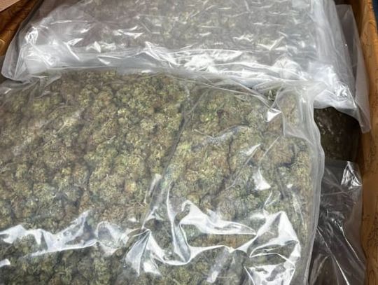 Ponad 8 kilogramów marihuany w bagażniku. Poważne zarzuty dla dwóch mężczyzn