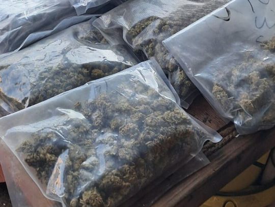 Ponad 8 kilogramów narkotyków w pomieszczeniu gospodarczym. 36-latek aresztowany