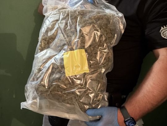 Ponad kilogram marihuany w piwnicy. Pies pomógł policjantom znaleźć narkotyki