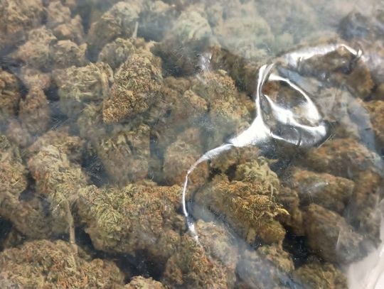 Ponad kilogram narkotyków w mieszkaniu 22-latka. Mężczyźnie grozi nawet 10 lat więzienia