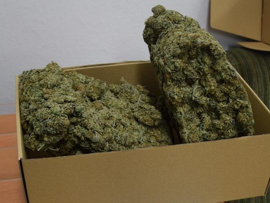 Ponad kilogram narkotyków w piwnicy. 28-latek aresztowany po nalocie policji