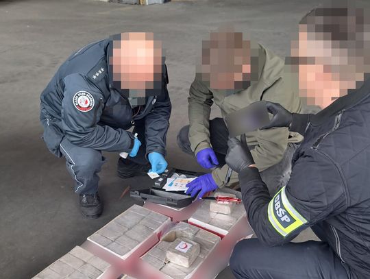 Ponad tona kokainy w porcie w Gdyni. Służby udaremniły przemyt towaru wartego 220 milionów zł. WIDEO