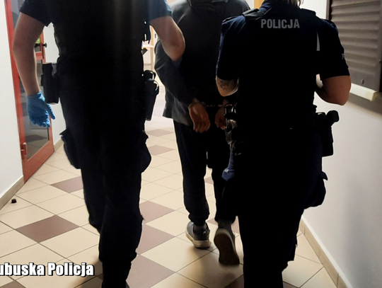 Poprosiła o bilet, zamiast niego dostała cios w brzuch. 22-latek spacyfikowany przez maszynistę i pasażera