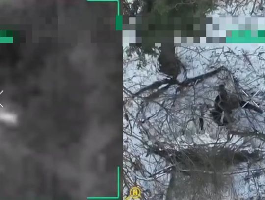 Pościg jak z filmu: złodziej uciekał przez las i rzekę, policja namierzyła go z powietrza. WIDEO