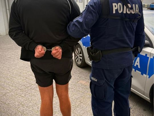 Poszukiwany recydywista wpadł z prawie 7 kg narkotyków. Część trzymał w zamrażarce