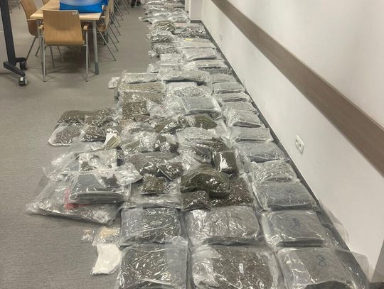 Potężny magazyn w mieszkaniu 27-latka. Kryminalni przejęli 131 kilogramów narkotyków [WIDEO, FOTO]