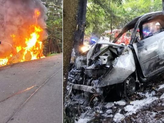 Potrącił dwóch pieszych i wjechał w drzewo. Auto stanęło w ogniu, kierowcę ratowali świadkowie