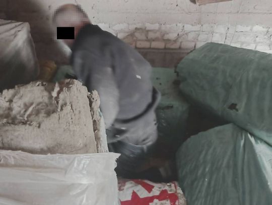 Przed policjantami ukrył się pod stosem wełny mineralnej. Kryminalni nie dali się oszukać