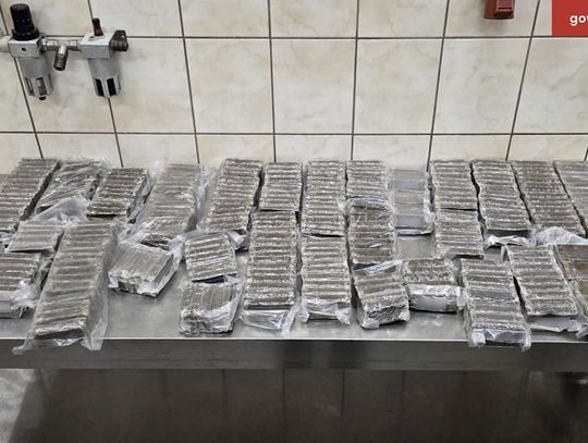 Przemycał 40 kg haszyszu w baku i nadkolach auta. Kurier wpadł na granicy z Rosją