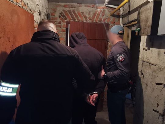 Przemycali marihuanę i haszysz z Hiszpanii do Polski. Służby zatrzymały pięciu młodych mężczyzn