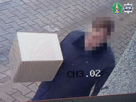 Przemycili 120 kg marihuany z USA przez Czechy do Polski. Zatrzymano 9 członków gangu narkotykowego