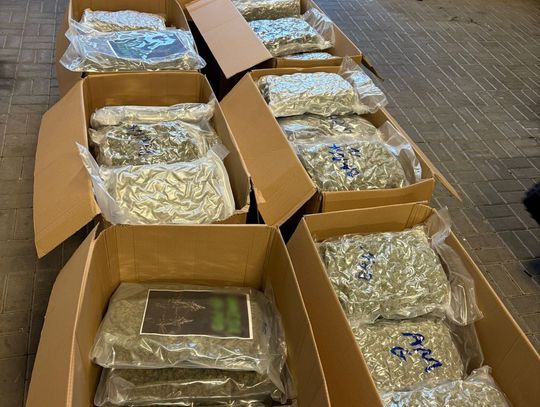 Przemyt marihuany z Hiszpanii do Polski. Służby zatrzymały dostawczaka ze 155 kilogramami narkotyku