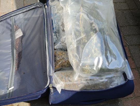 Przemyt narkotyków w pociągu Warszawa-Berlin. Służby przejęły towar wart ponad milion złotych