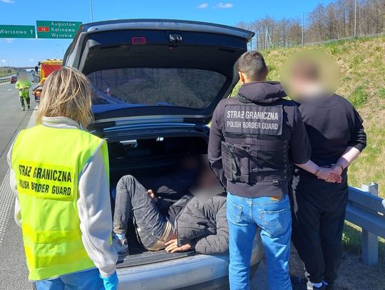 Przemytniczy szlak przerwany. Polak i Ukrainiec wpadli podczas przewożenia migrantów