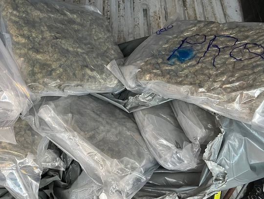 Przewoził na pace 10 kilogramów marihuany. Drogówka zatrzymała go przez zły stan pojazdu Przewoził na pace 10 kilogramów marihuany. Drogówka zatrzymała go przez zły stan pojazdu