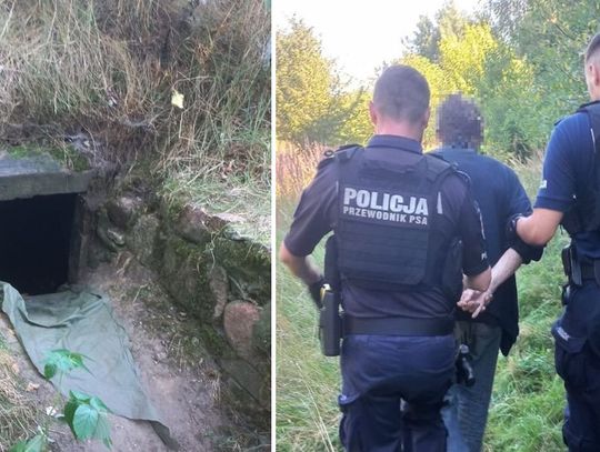 Przez 12 lat ukrywał się przed policją. Znaleźli go w ruinach piwnicy na terenie gęstego lasu