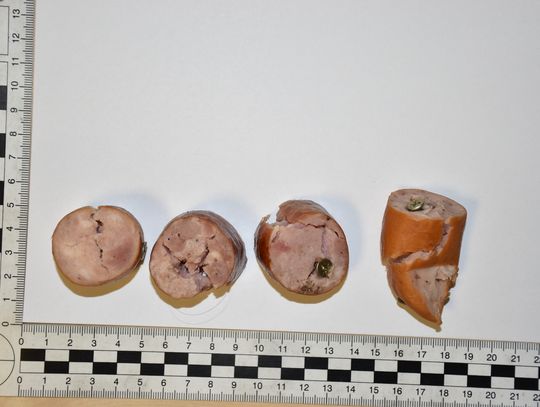 Przez kilka tygodni rozrzucał na trawnikach kiełbasę z gwoźdźmi. Policjanci namierzyli sprawcę