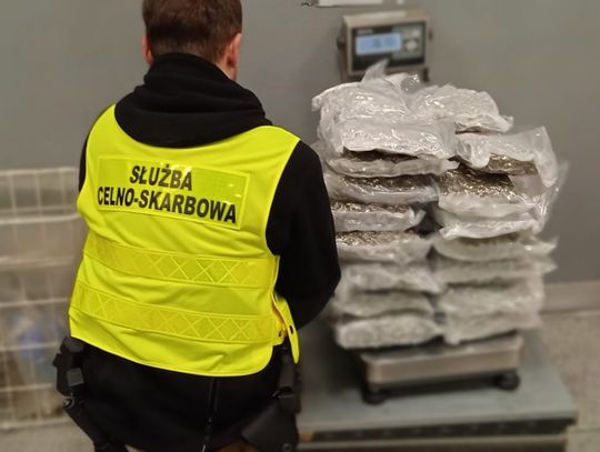 Przyleciał z Tajlandii, w bagażu miał 24 kg marihuany. Portugalczyk zatrzymany w Warszawie