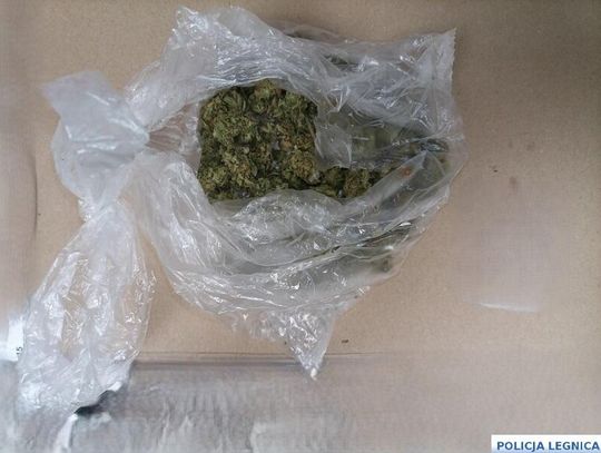 Przypalony garnek zdradził sekrety lokatora. Marihuana w chlebaku i dzieci pod „opieką”