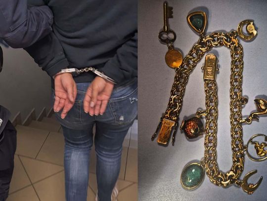 Przypłynęli ze Szwecji z kradzioną biżuterią. Policja zatrzymała parę Rumunów