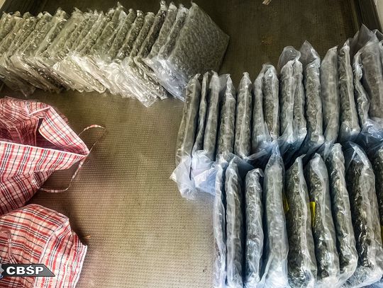 Pseudokibice przemycali narkotyki na ogromną skalę. Służby rozbiły zorganizowaną grupę przestępczą