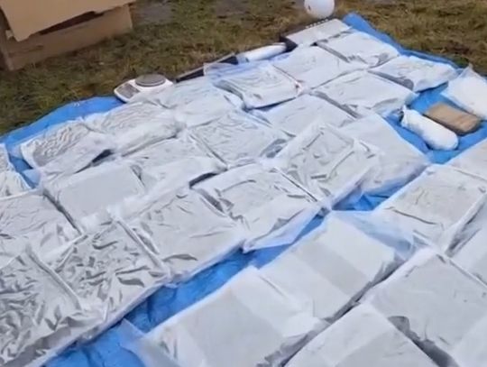 Punkt przeładunkowy narkotyków na działkach. Policjanci przejęli blisko 60 kilogramów towaru. WIDEO