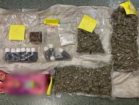 Rodzina rolników ukrywała narkotyki. Marihuana pod zbożem, towar w dojarkach do mleka