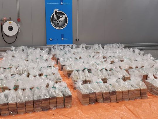 ROTTERDAM: Ponad osiem ton kokainy ukryte w transporcie bananów. Służby udaremniły rekordowy przemyt narkotyków