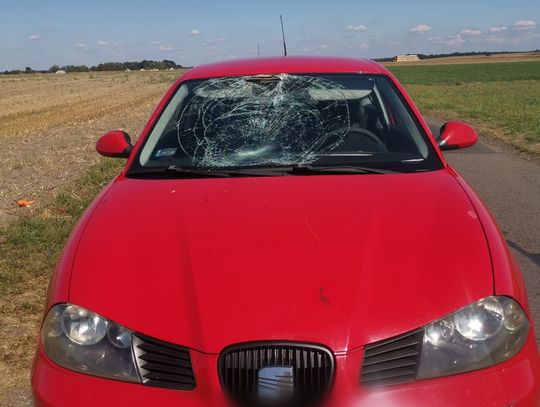 Rowerzysta zapatrzył się w telefon i wjechał przed samochód. Z obrażeniami ciała trafił do szpitala