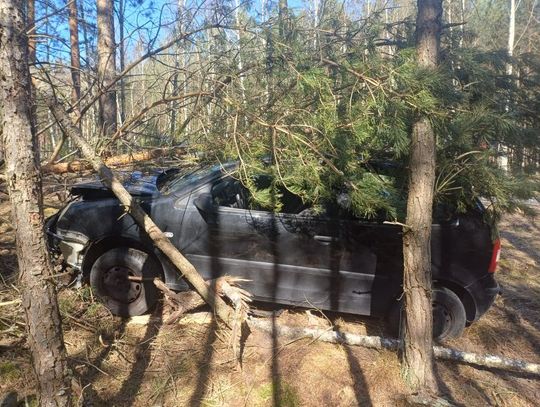 Rozbił auto na drzewie i zadzwonił po policję. 46-latek miał 1,8 promila i brak prawa jazdy Rozbił auto na drzewie i zadzwonił po policję. 46-latek miał 1,8 promila i brak prawa jazdy
