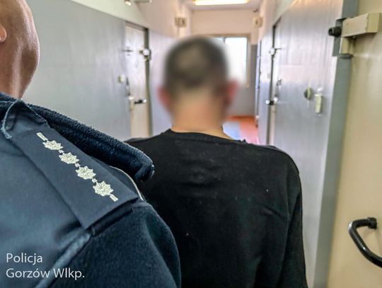 Rozbił kradzioną Toyotę i chował się pod kocem. Próbował przekonać policjantów, że jest bezdomny