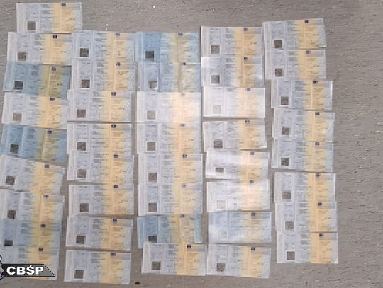 Rozbita grupa wyłudzała odszkodowania. Zatrzymano 10 osób, w tym pracownika biura ubezpieczeń