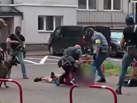 Rozbito gigantyczną siatkę fałszerzy leków. Przejęto towar wart ponad 15 milionów zł. WIDEO