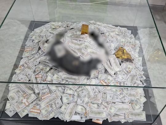 Rozbito międzynarodową mafię od FOREX. Ludzie stracili 80 milionów, cyberpolicja zajęła helikopter