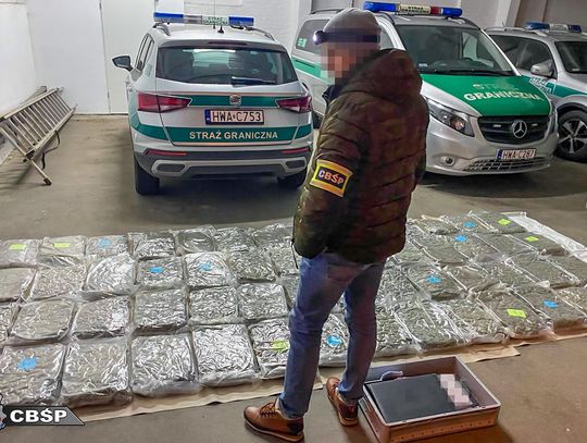 Rozbity gang narkotykowy. 42 osoby zatrzymane, ponad 300 kg narkotyków w obrocie