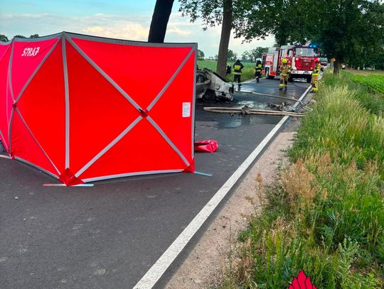 Rozpędzona Honda wbiła się w drzewo. Kierowca spłonął w samochodzie