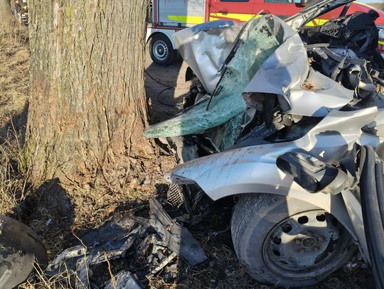 Rozpędzona osobówka wbiła się w drzewo. Kierowca zginął na miejscu [FOTO]