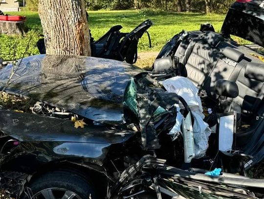 Rozpędzone audi wbiło się w drzewo. W wypadku zginęło dwóch młodych mężczyzn [FOTO]