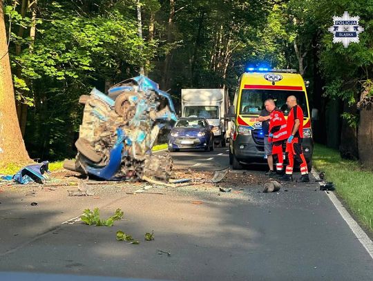 Samochód wbił się w drzewo. Droga zablokowana po porannym zdarzeniu na DK 94