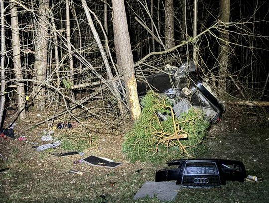 Samochód wbity w drzewa, kierowca zbiegł i leżał pod blokiem. Zmieszał alkohol z narkotykami Samochód wbity w drzewa, kierowca zbiegł i leżał pod blokiem. Zmieszał alkohol z narkotykami