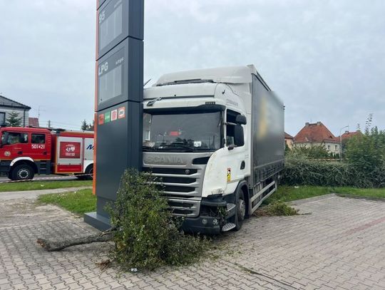 Scania wypadła z drogi, ścięła krzewy i uderzyła w pylon. Kierowca w szpitalu